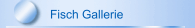 Fisch Gallerie